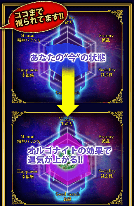 ここまで視られてます!!